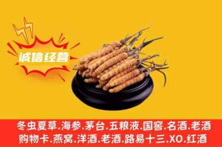 杏花岭区回收冬虫夏草